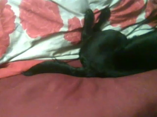 meinereinern  07-11-2021 video seducion